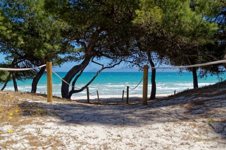 Mejores playas de Ibiza, Blog de Treveler